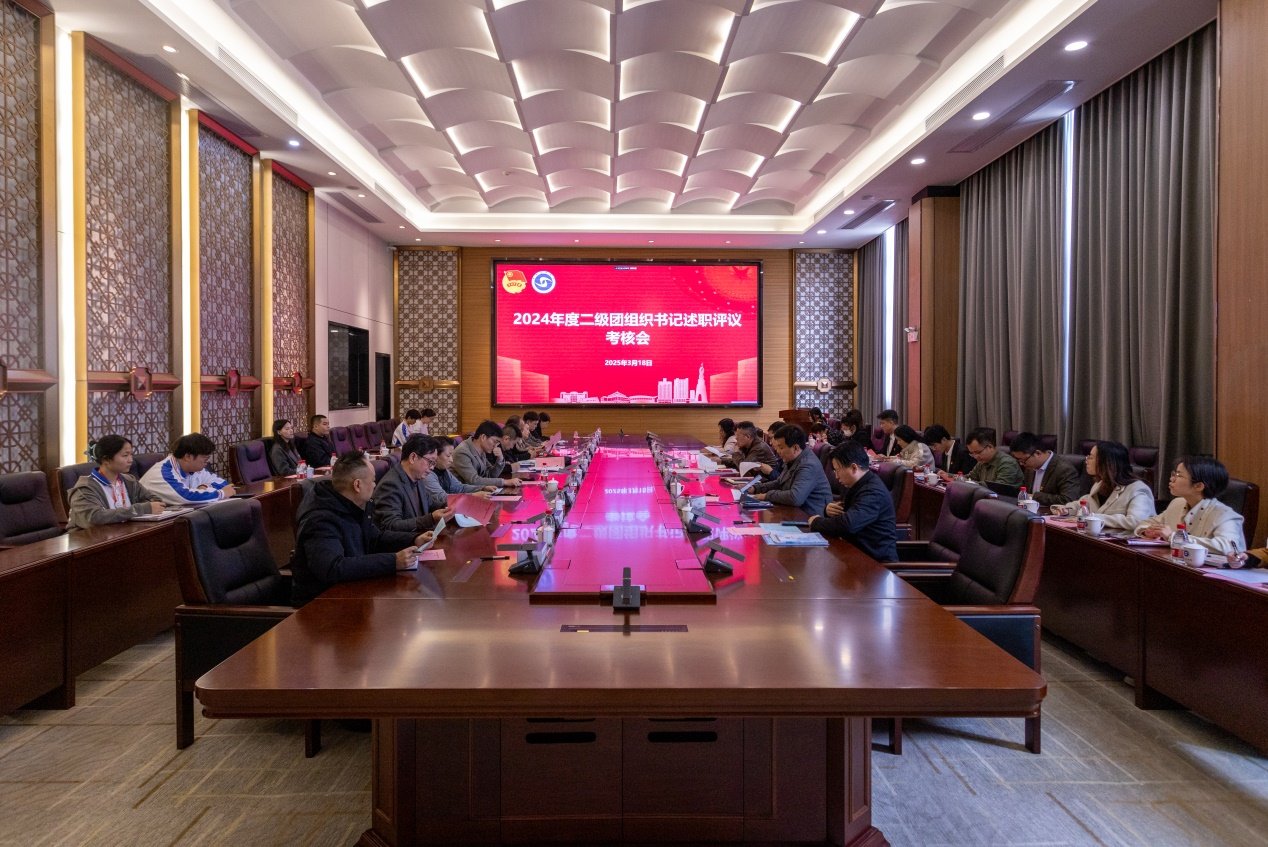落实全面从严治团要求